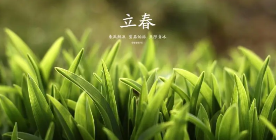2024年立春是几九第几天（2024年立春是几九第几天）