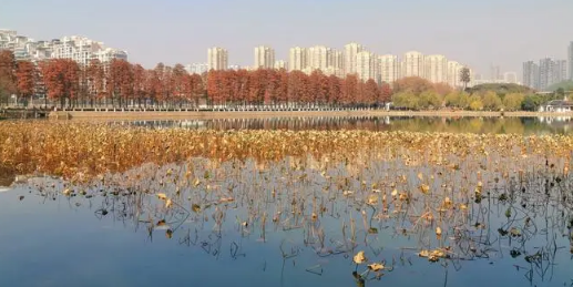 湖北武汉今年什么时候入冬2024（湖北武汉冬天从什么时候开始）