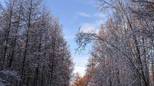 2023年呼和浩特12月会下雪吗（呼和浩特冬天什么时候下雪）