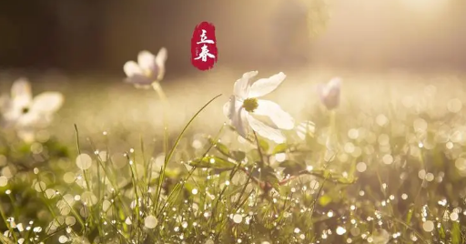 2024年立春是几九第几天（2024年立春是几九第几天）