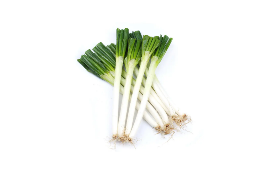 章丘大葱是铁杆大葱吗（章丘大葱和铁杆大葱是一种吗）