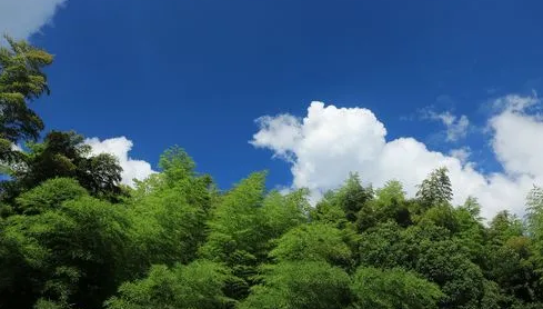 2024年北京3月份还冷吗（北京3月份天气怎么样）
