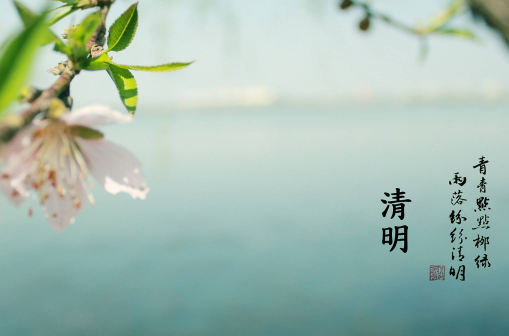 2024年清明节是农历几月几号（2024年清明节是农历的哪一天）