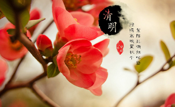 2024年清明节是农历几月几号（2024年清明节是农历的哪一天）
