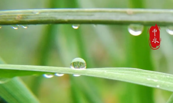 2024年南京五月份雨水多吗（南京五月份的降水量大约是多少）